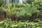 Atholtropical-landscaping-2.jpg; ?>