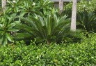 Atholtropical-landscaping-4.jpg; ?>