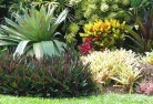 Atholtropical-landscaping-9.jpg; ?>